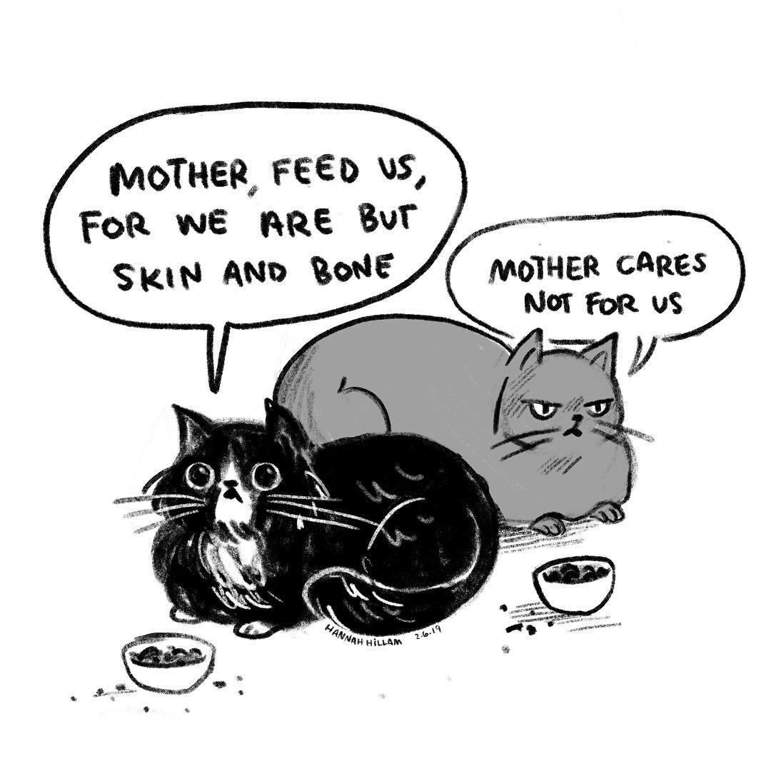 catsbeaversandducks:  “I don’t know when I decided my cats talk like Victorian