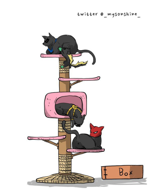 mysonshineblr:Bat-cat family 