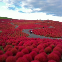 archatlas:  ZechA selection of images from his Instagram account: Sharing travel shots from Tokyo and beyond.