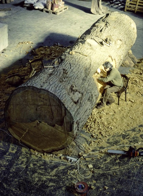 antronaut:Giuseppe Penone at work on Cedro