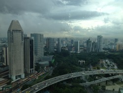 treacherousbitch:  Singapore Ferris Wheel