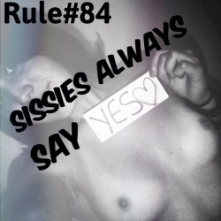 sissyrulez:  Rule#84: sissies always say