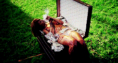 hellyeahrihannafenty:  Bitch Better Have My Money