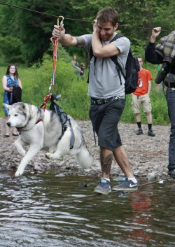 worldofthecutestcuties:  One way to get a scared husky across a river. She was doggie-paddling the whole time. 