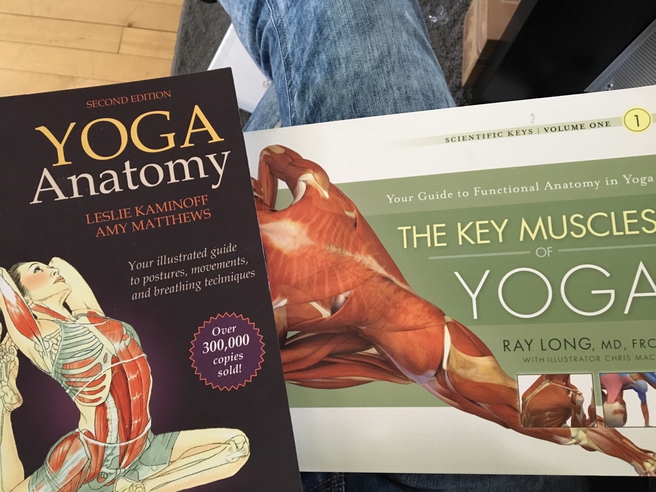 anyone want to be my study buddy?   The 6 movements of the body: Extension / flexion,