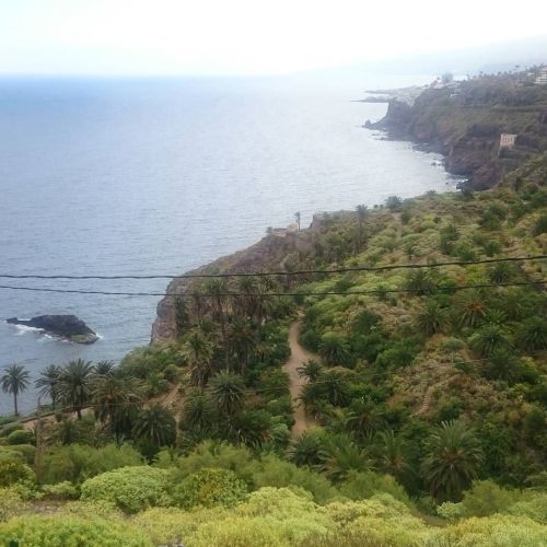 ▶Bonitas vistas!!! #Tenerife #WelcometoParadise by raydboyz http://ift.tt/1XMT0EM