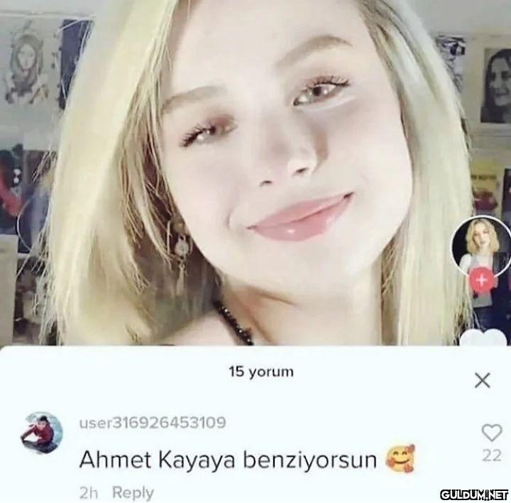 Yüz tanımlayıcı...