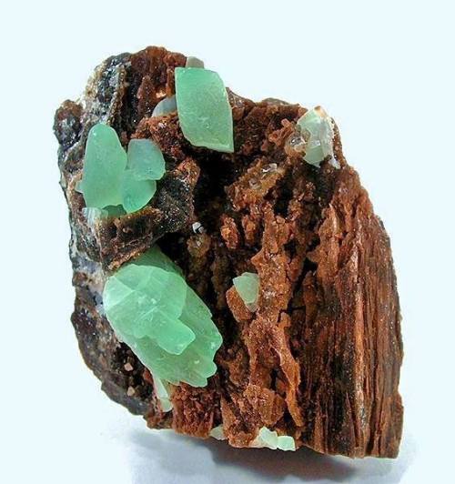 An unusual specimenThe matrix on which these lovely green calcite crystals formed resembles the tree