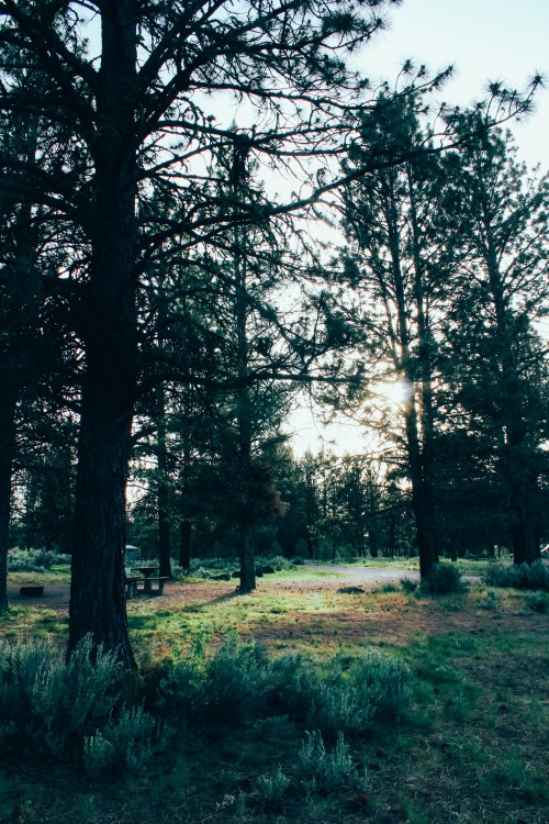 Fading ColorsMillers Lane Campground, Oregon4 June 2016