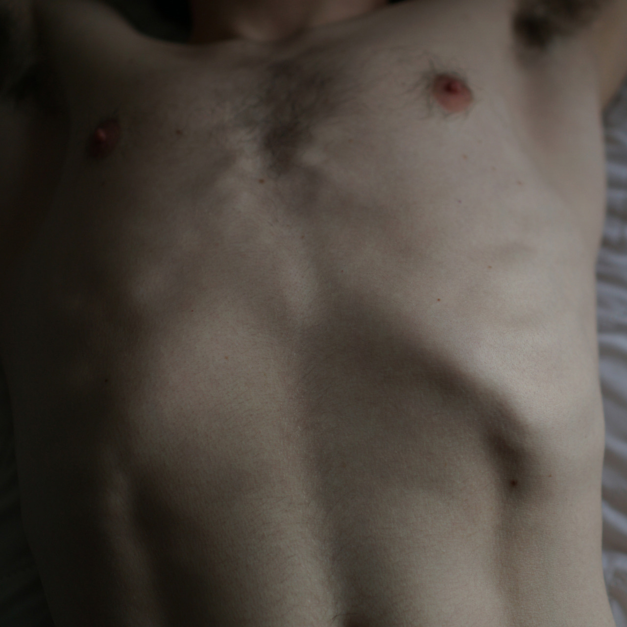 andrevautour:  body 2015-2016