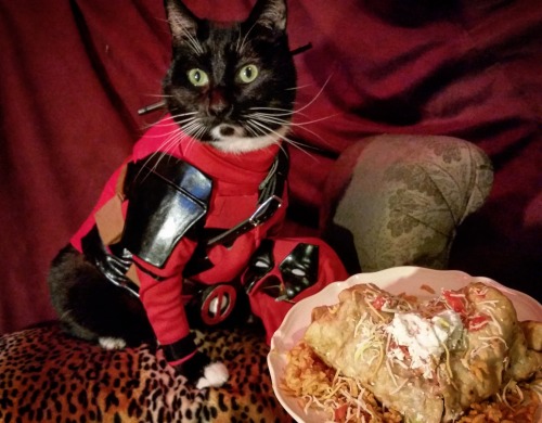 cat-cosplay: You can always find a special part of my heart (shaped chimichanga) dedicated to you.  