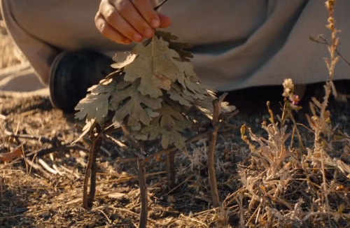 jazzicated:Don’t you ever stop dreaming. You can be anyone you want to be.- Saving Mr. Banks (2013)
