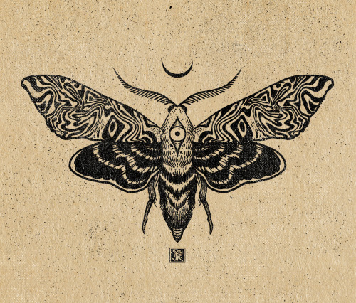 isnyr:Moth ✵  [commissioned piece]