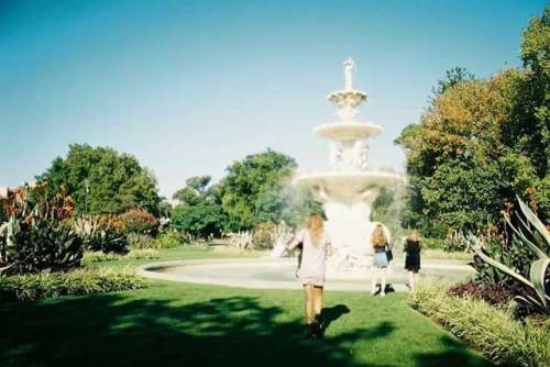 See you Melbourne it’s been sweet ☀️ 35mm Nikkormat FTN . . . . #photography #travel #australi