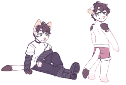 bxaetr:  fursona sketchessss