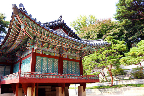 I have finally started to edit my Seoul trip pictures! I went to Seoul around mid-October, so it was