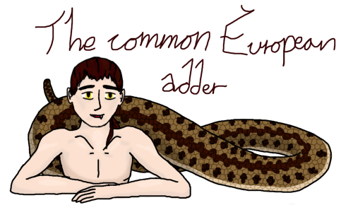 arthal answered your question: Art prompts?How about a half!snake version of any Hetalia character y