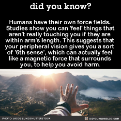 did-you-kno:  Humans have their own force fields.  Studies show you can ‘feel’ things that aren’t really touching you if they are  within arm’s length. This suggests that  your peripheral vision gives you a sort  of &lsquo;6th sense’, which