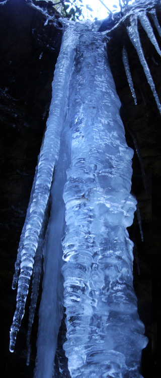 icicle