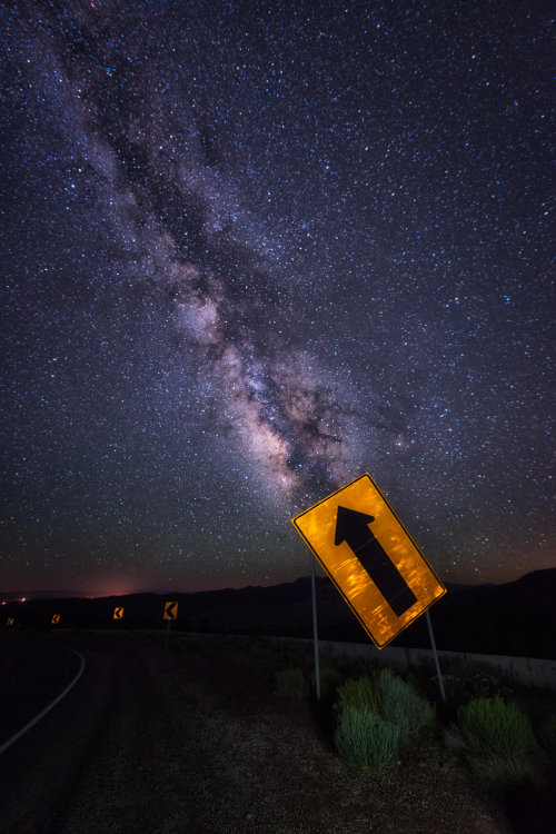 expressions-of-nature:  To The Stars by: Mike Hathenbruck 