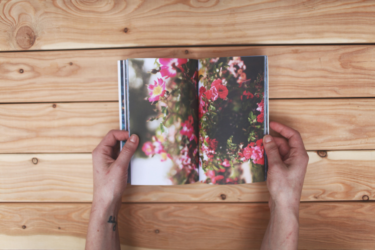 samdesantis:  I did a thing and made a book with some of my favorite shots in it,