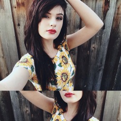 revuhleyshuhn:  Sunflowers are my absolute