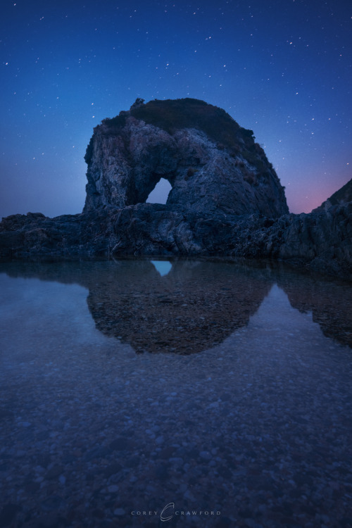 Horsehead Reflections