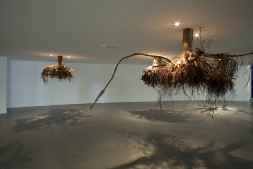 epruitt: Artist Giuseppe Licari Entitled: Humus, Secret Gardens (2012),Tent Rotterdam. A s