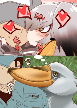 aku-no-homu: ヒト式愛情表現 by artist 七々ななな (@nananana_nanana) shoebill smooch~ &lt;3