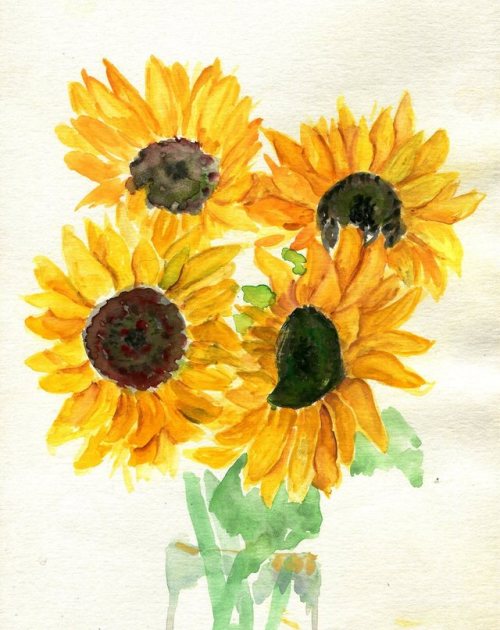 havekat: Gettin’ Some Sun Watercolor and Chinese Ink On Paper 2017, 9″x 12″ Sunflowers, Helianthus