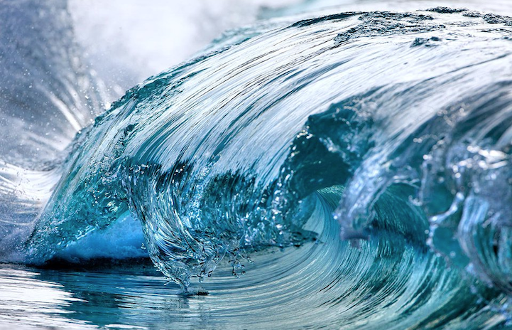 unicorn-meat-is-too-mainstream:  Photographer Perfectly Captures Magnificent Cresting