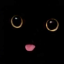 snzykeith