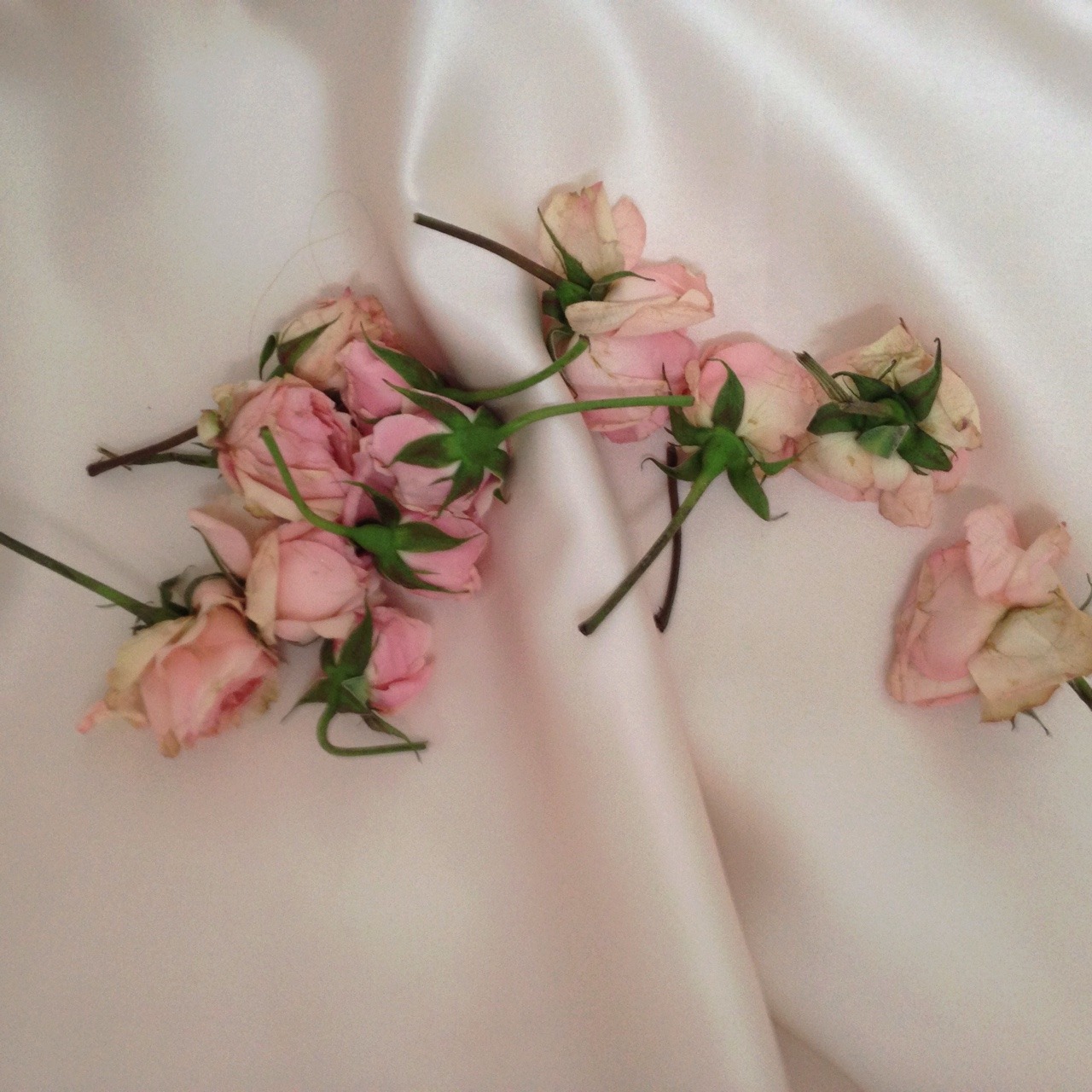 underwata:  flower girl 