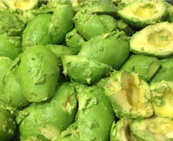 teenshealthandfitness:  I love avocados!