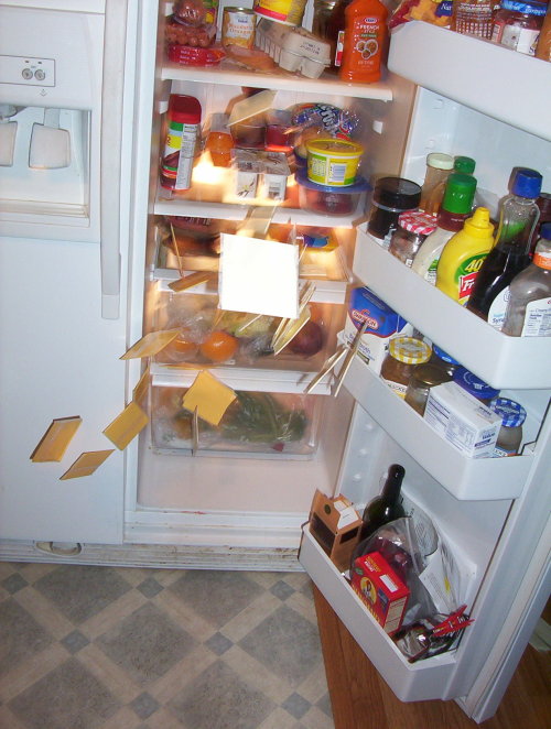 jessiphia:laughcentre:insidethevalley:the cheese always falls off the top shelf if i open the door t