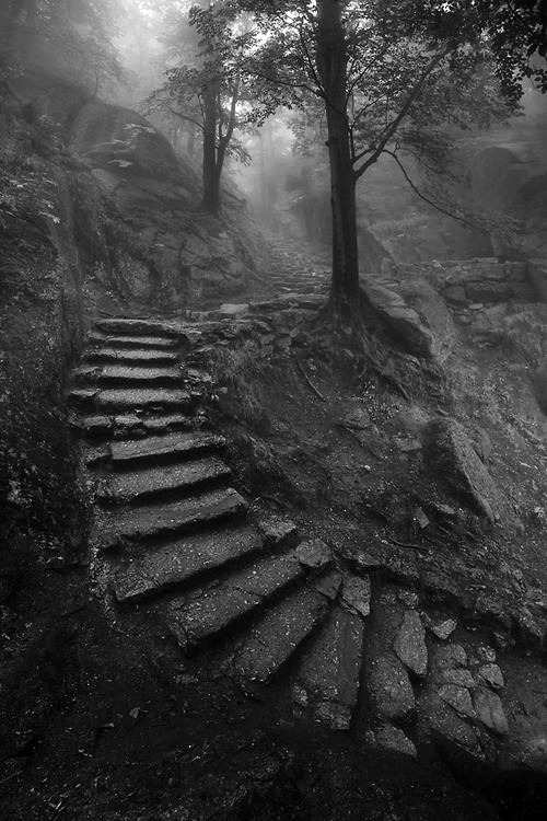 The nature