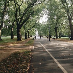 wildfoxwithowleyes:  Hyde Park is starting to look cozy 🍂🌲🌳🌿