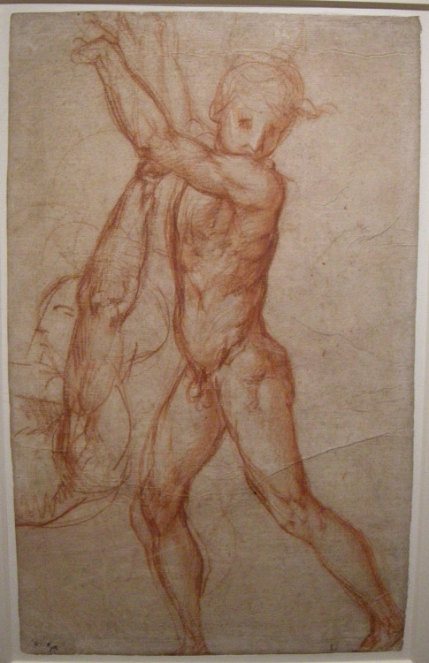 Study of nude, 1518, Jacopo PontormoMedium: chalk,paper