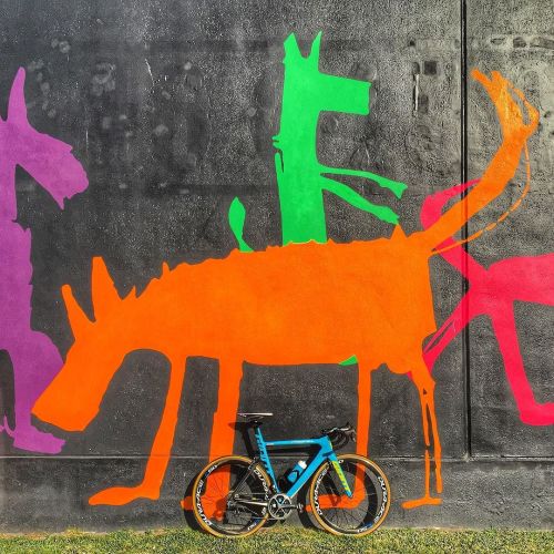 pedalitout:  #propel @giantbikesaus by northsidewheelers ift.tt/1GqmsFx