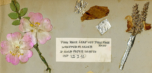 Details from a hand-colored scrapbook about Mary Pickford, made by her sixteen-year-old fan Janet Es