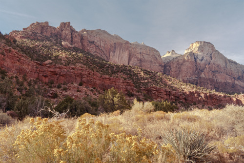 autumn aspects; zion national park, utahinstagram / twitter