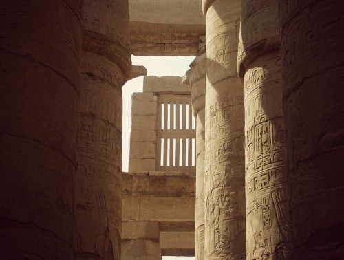 cats-of-cairo:Details of Karnak: great hypostyle hall in the Precinct of Amun Re and small sparrow l