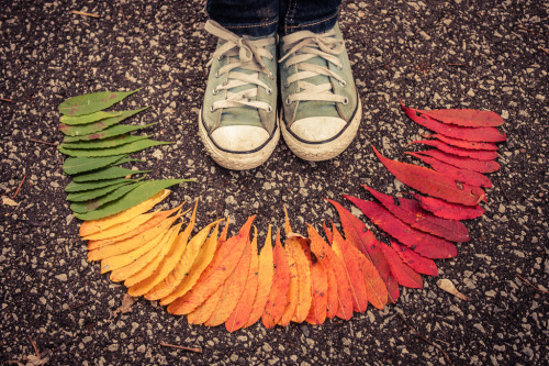 XXX nubbsgalore:  the autumnal colour spectrum photo