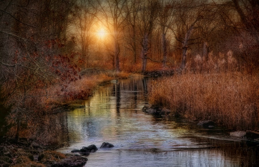 morethanphotography:  Gilded Brook by Robin-Lee 
