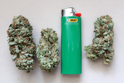 420tabletime:  Cotton Candy kush 