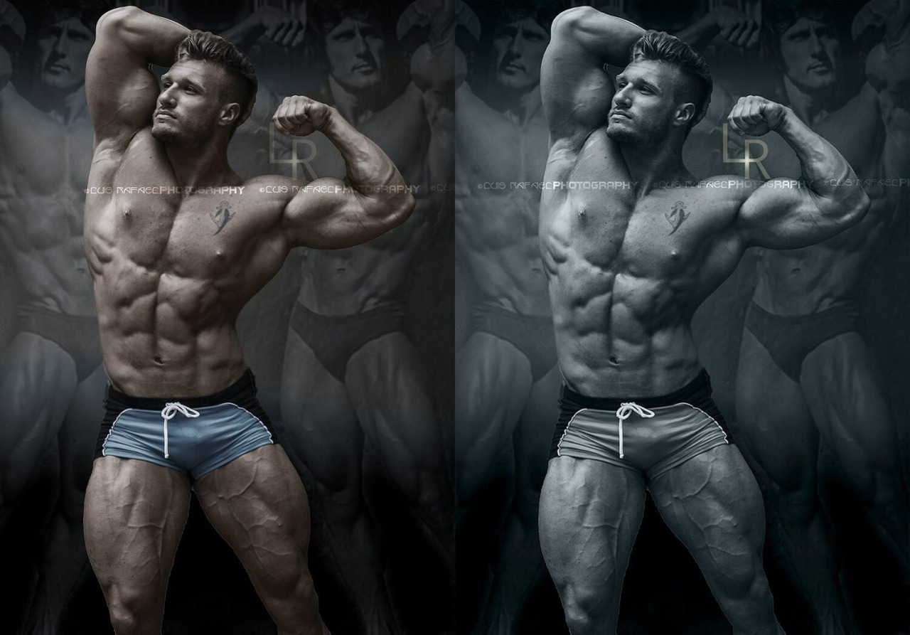Adonis Files