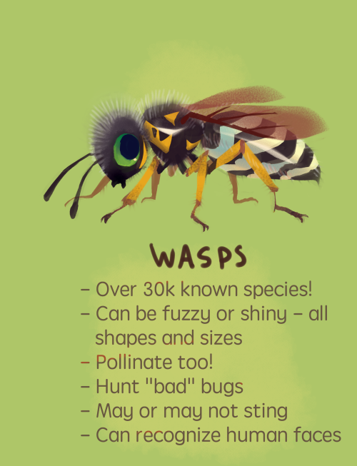 bedupolker:I’ve been seeing some WASP NEGATIVITY lately so just a reminder that insects are importan