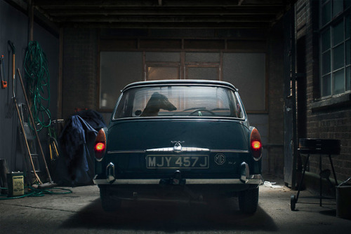 thekhooll:  Dogs in Cars By Martin Usborne