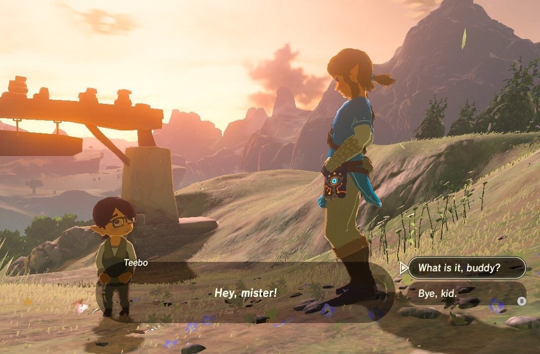 Porn photo weirdmageddon:  more of botw link’s personality