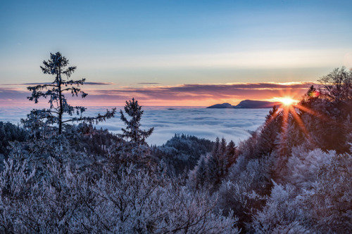 90377:Winter Sunset by Thilo Frey